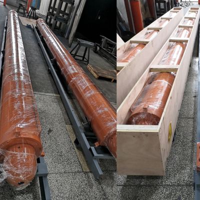 Các xi lanh nâng điện cực với bộ chuyển đổi MTS